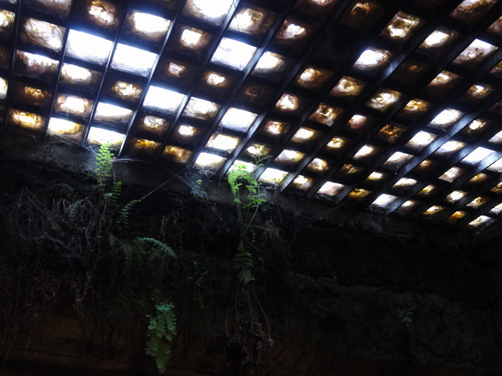 120724_WA_15_UndergroundSkylight_small