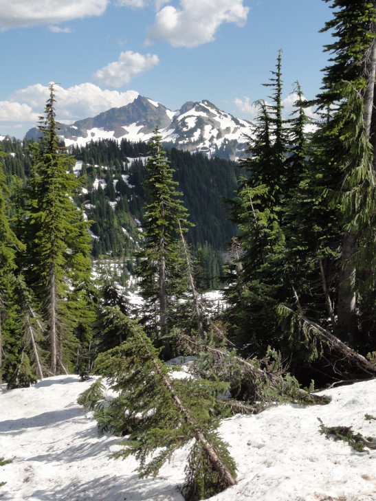 120725_WA_12_Rainier_small