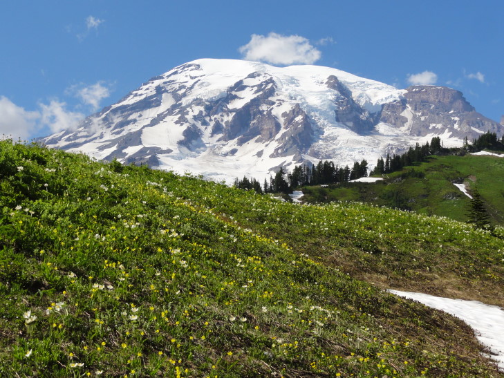 120725_WA_15_MountRainierWildflowers_small