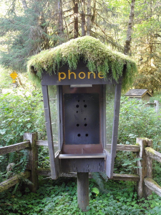 120726_WA_25_HohRiverPhoneBooth_small