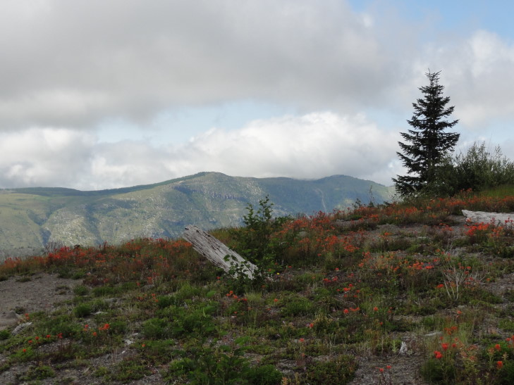 120727_WA_11_JohnstonRidge_small
