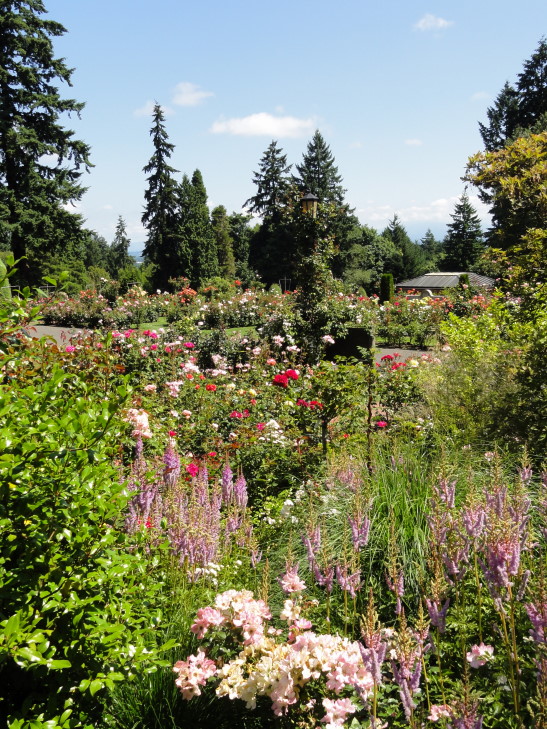 120728_OR_4_RoseGarden_small