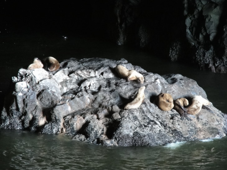 120729_OR_12_SeaLionCavesInside_small