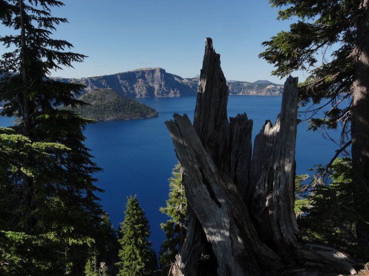 120730_OR_14_CraterLakeDeadWoodView_small
