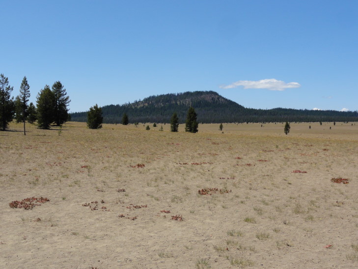 120730_OR_1_CraterLakePumiceDesert_small
