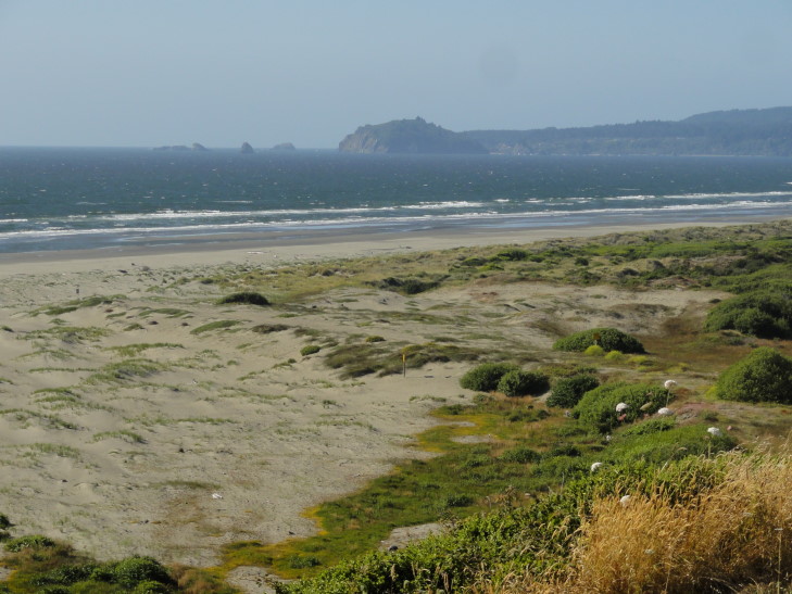 120731_CA_15_SandyBeach_small