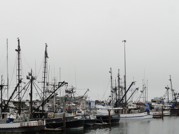 120731_CA_2_CrescentCityHarbor_small