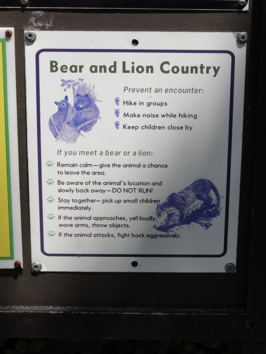 120731_CA_4_BearsAndLions_small