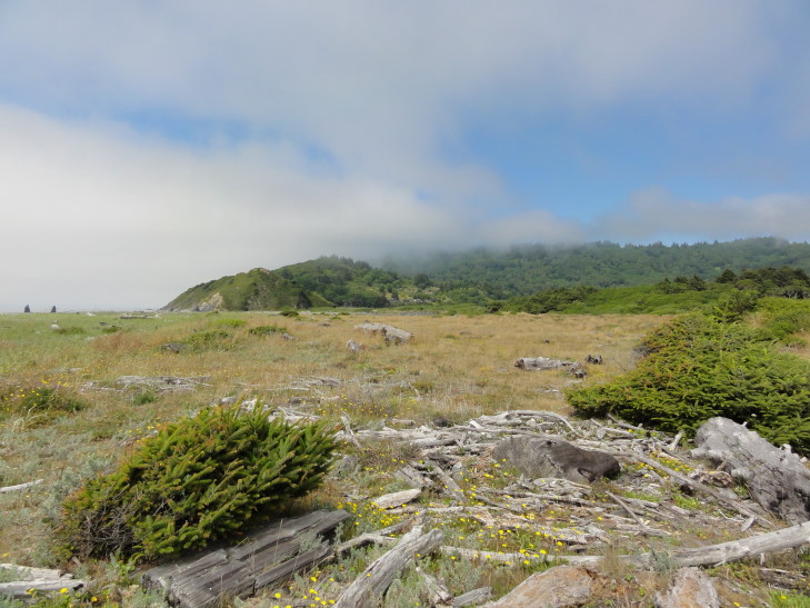 120731_CA_8_LiftingFogFromBeach_small
