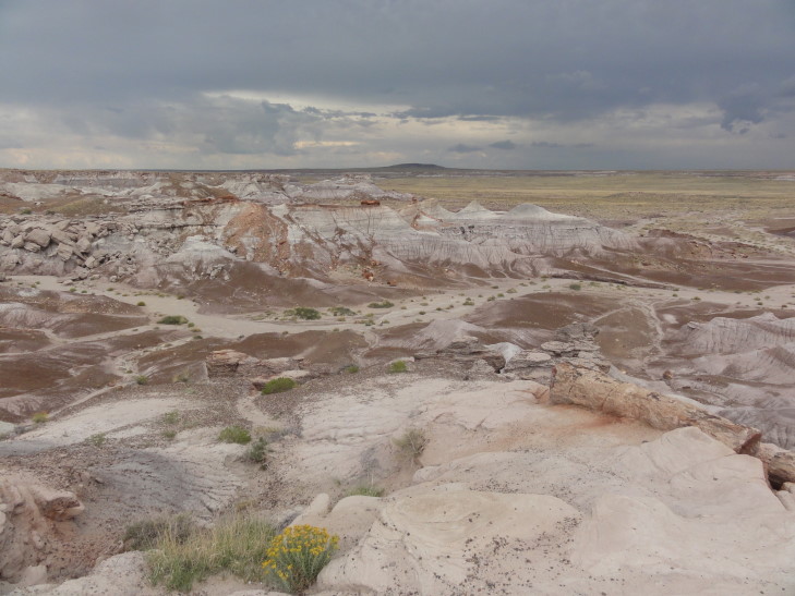 130802_AZ_13_BadlandsWithLog_small
