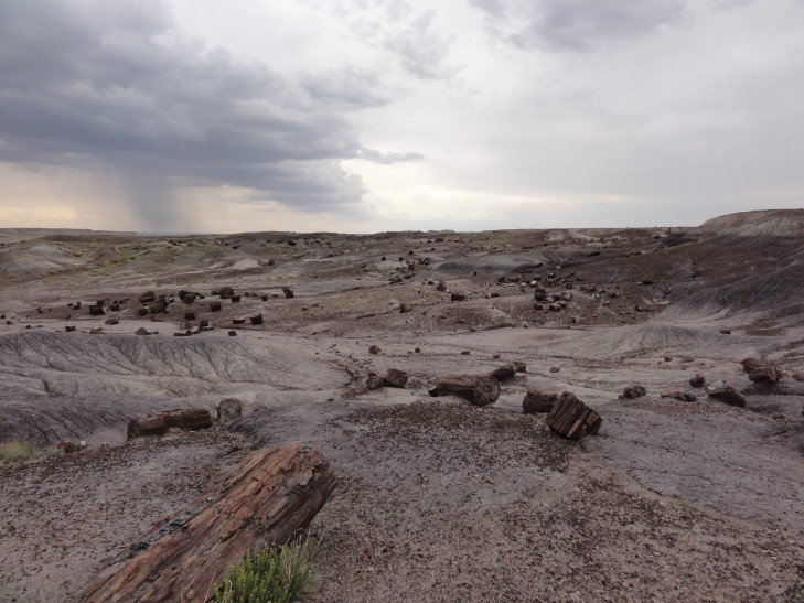 130802_AZ_16_PetrifiedForest_small