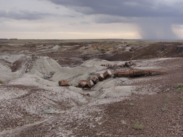 130802_AZ_18_PetrifiedForest_small