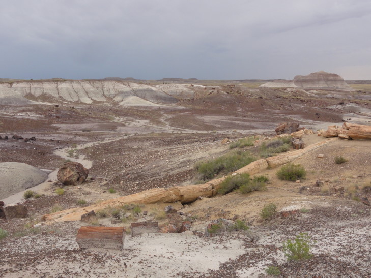 130802_AZ_19_PetrifiedForest_small