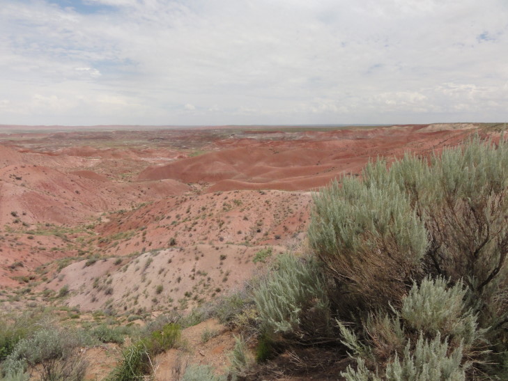 130802_AZ_1_PaintedDesert_small