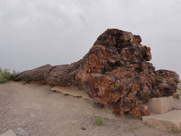 130802_AZ_23_OldFaithful_small