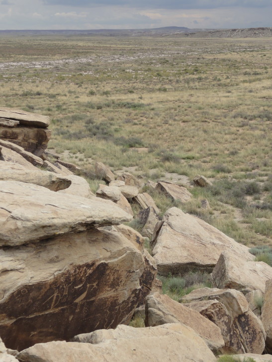 130802_AZ_7_IbisPetroglyph_small