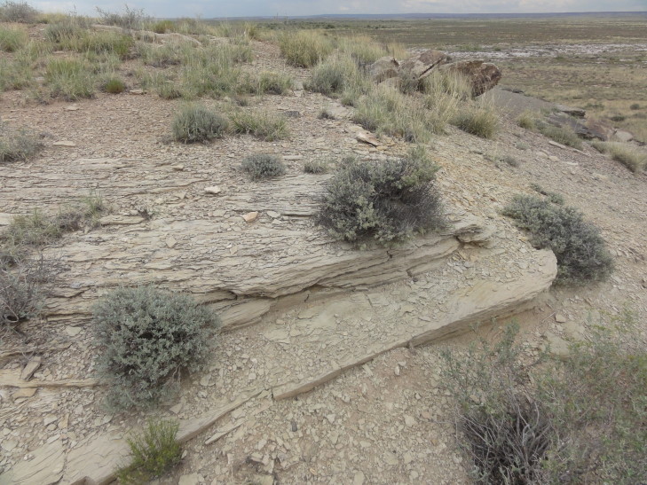 130802_AZ_8_Shale_small