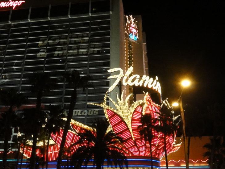 130805_NV_23_Flamingo_small