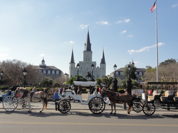 140331_LA_19_JacksonSquareBuggies_small