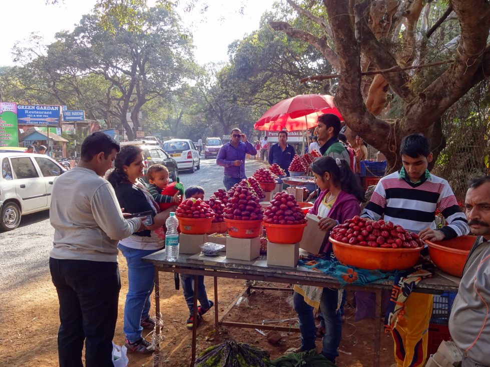 Strawberry sellers in front of Mapro's