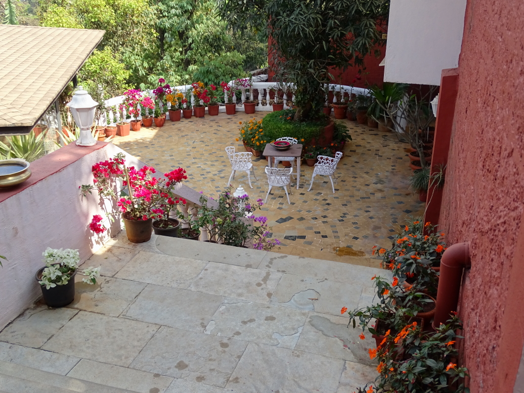 Amazing flowers in a courtyard at Brightland