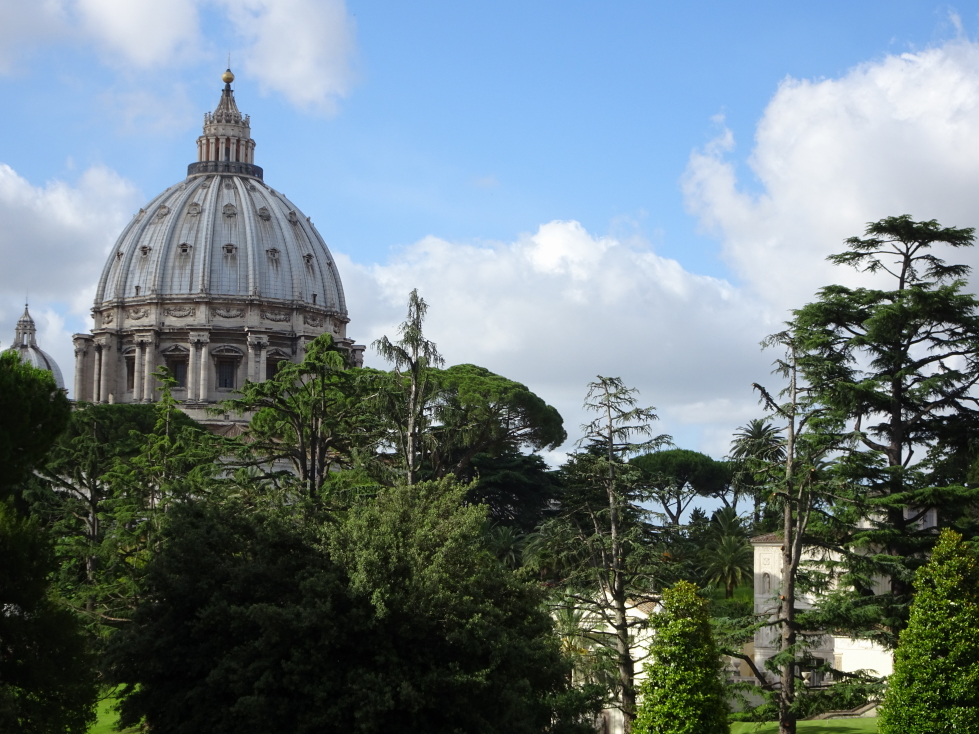 St. Peter's Basilica dome seen through trees from the Vatican Museum