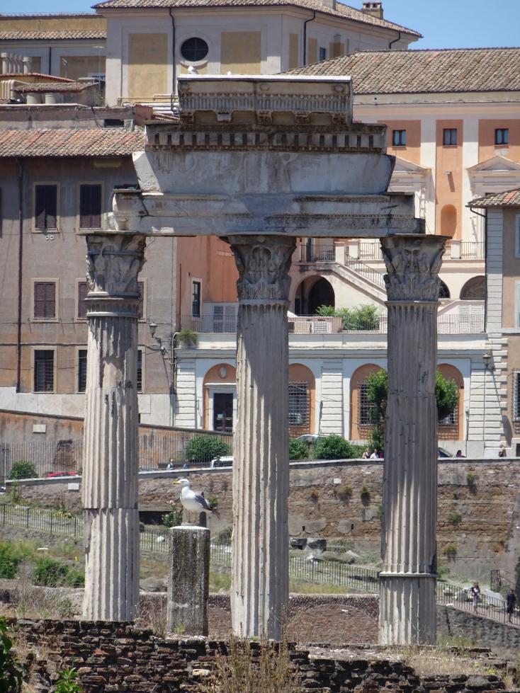 Columns in the Forum