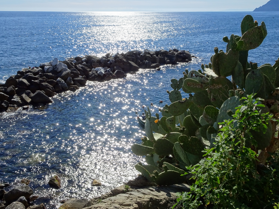 View of the sea from Riomaggiore