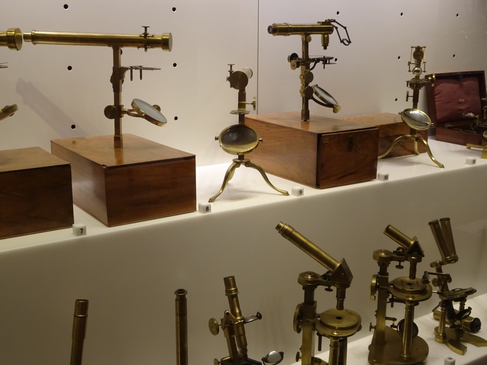 Impressive collection of microscopes
