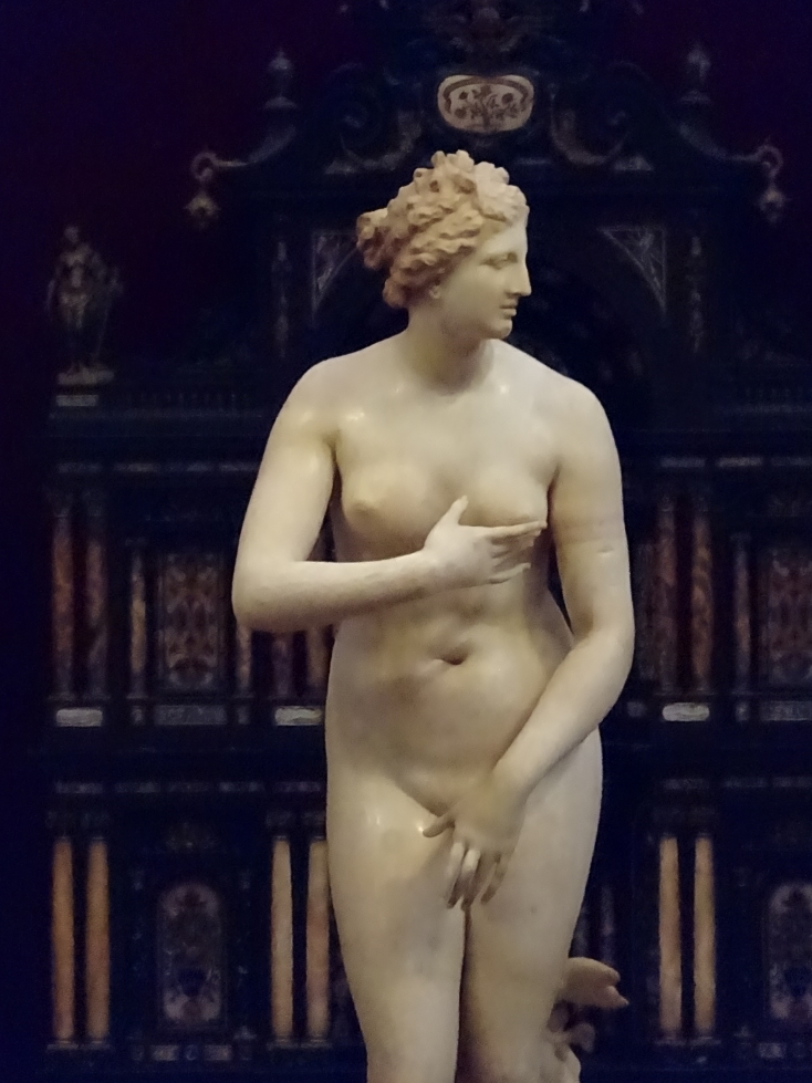 Venus de' Medici in the Tribuna
