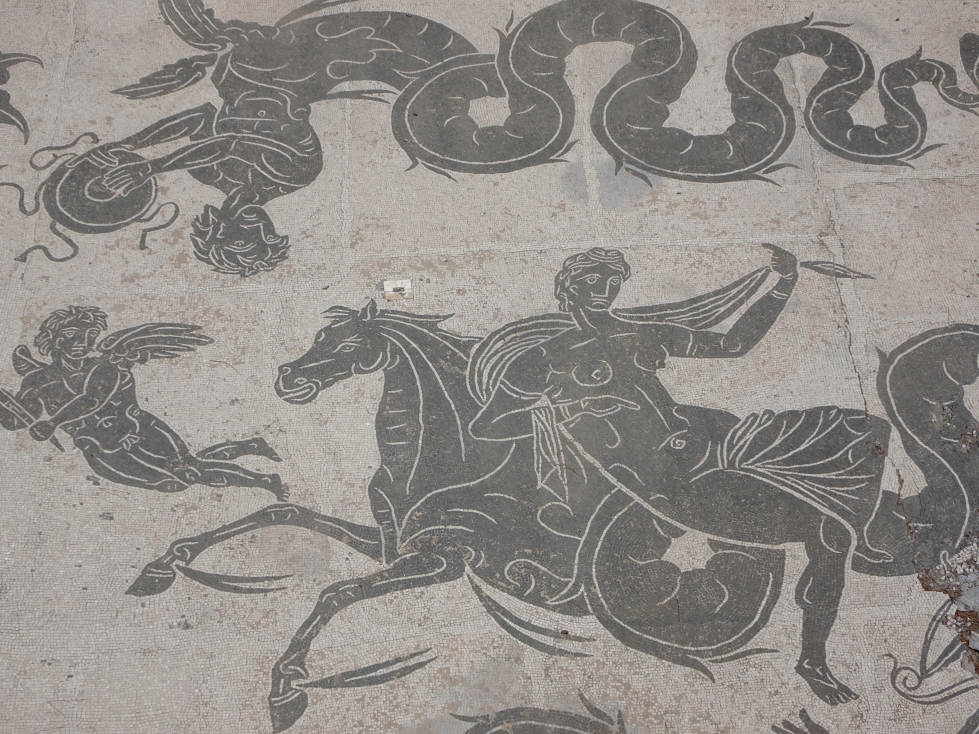 Detail of mosaic at Terme di Nettuno