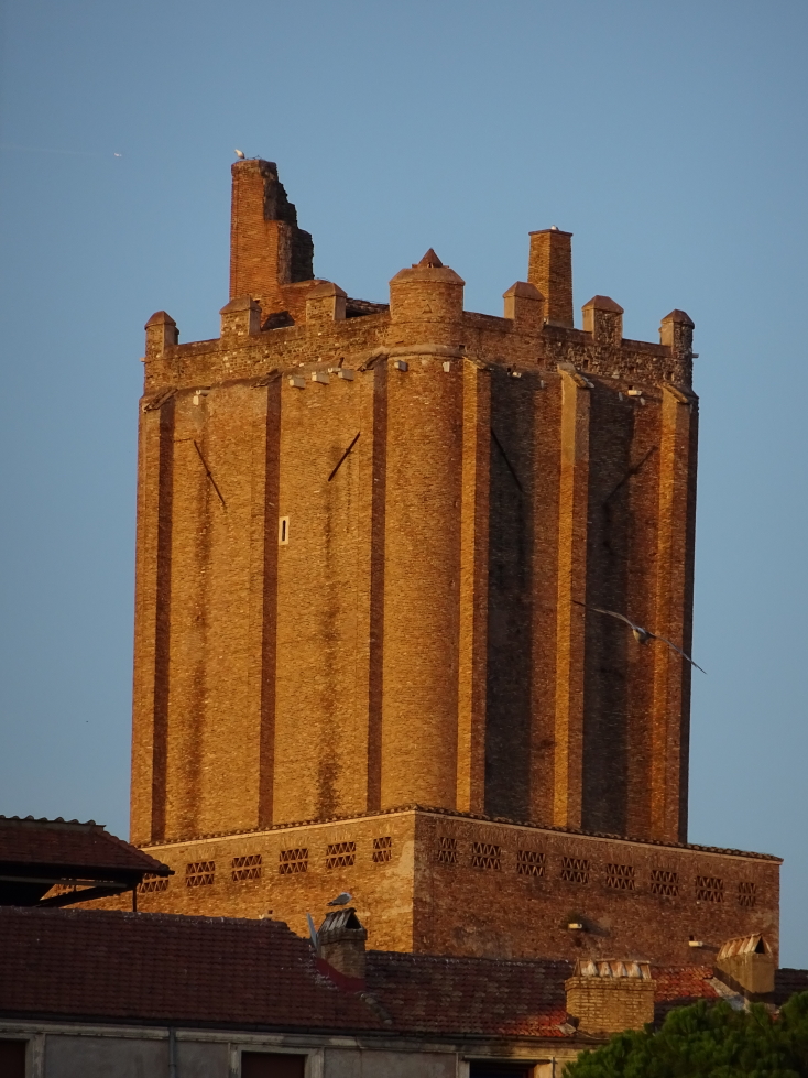 Top of the Torre delle Milizie