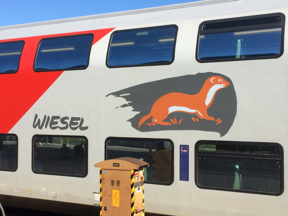 Our Westbahn train, the Wiesel (haha)