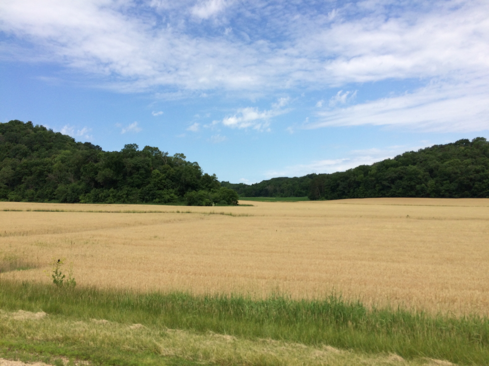 Fields along the Wisconsin River
